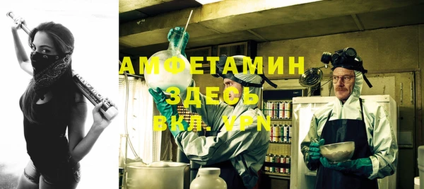 ешки Каменногорск