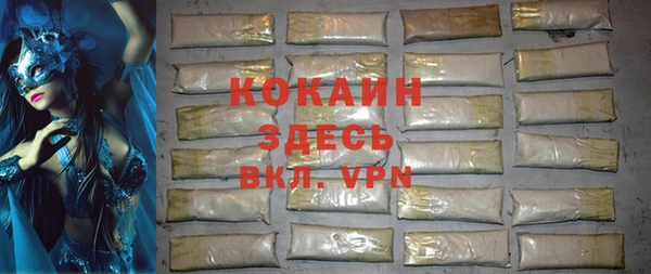дживик Горняк