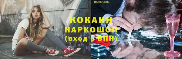 дживик Горняк