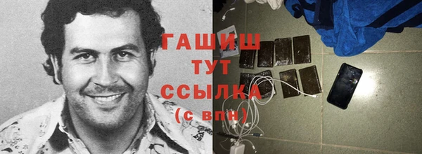прущие грибы Сосновый Бор
